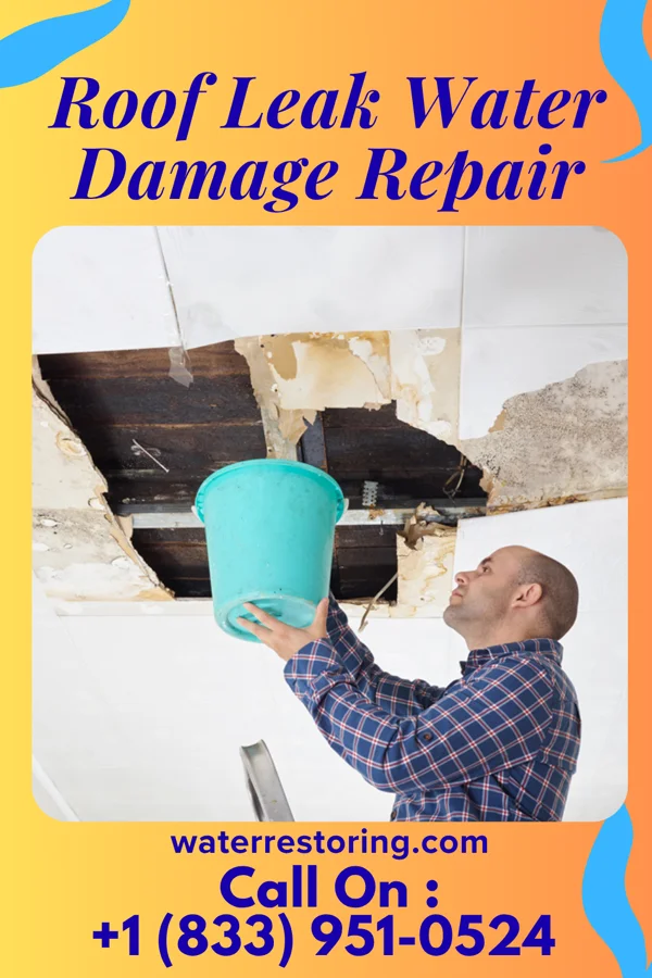 Roof Leak Water Damage Repair in Ames, TX